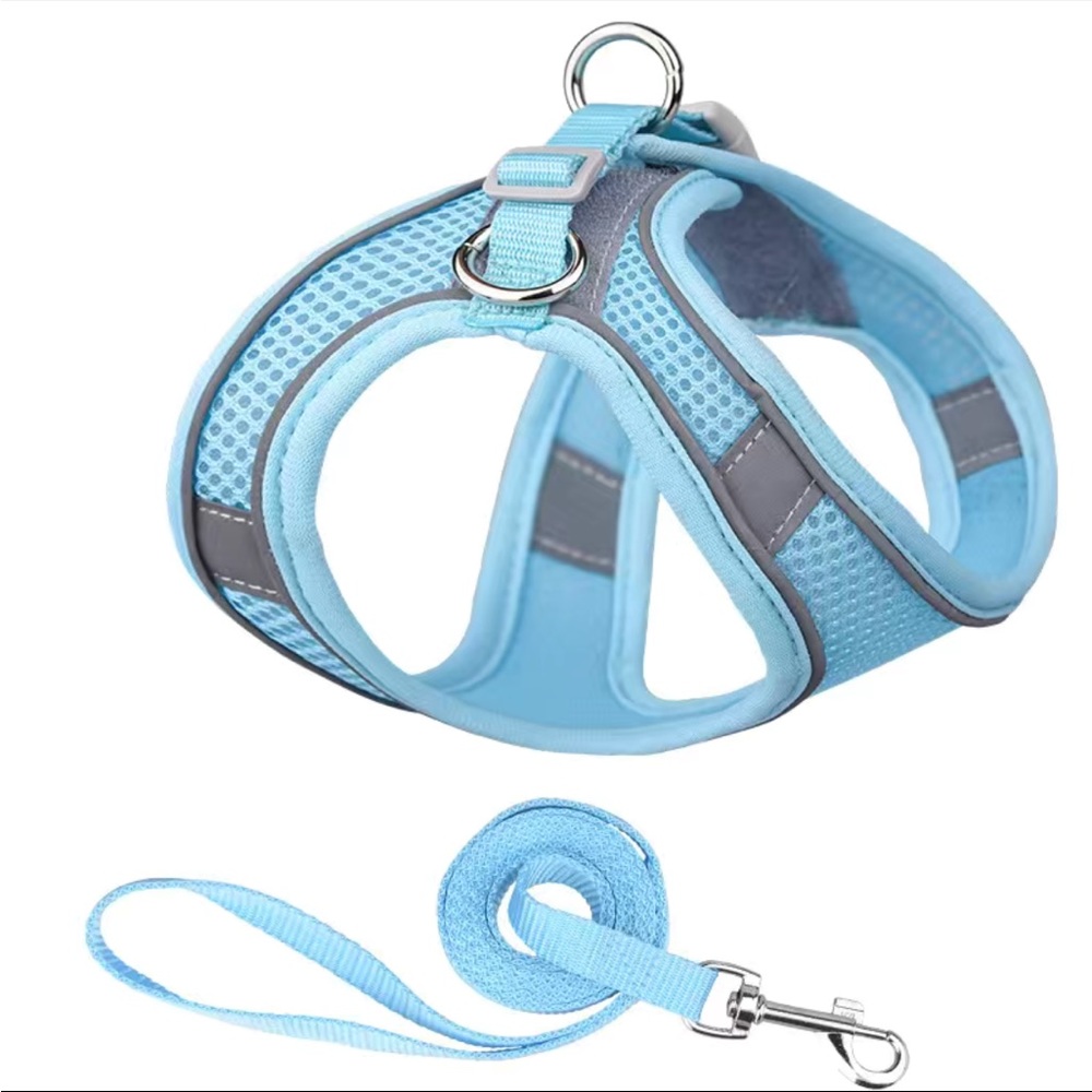 NWT Light Blue Reflective Double Secure Harness & Leash Set